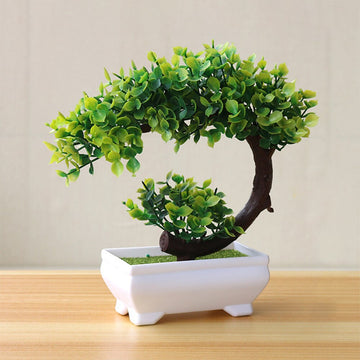 Fake Bonsai Tree